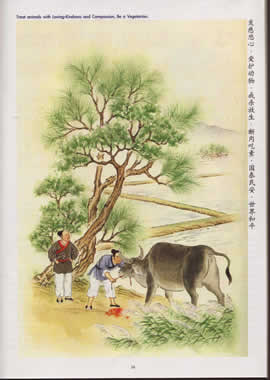 Severing The Bull's Tongue Harmed His Sons